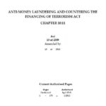 Anti-Money Laundering & Countering the Financing of Terrorism Act