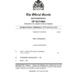 The Fiscal Enactments Act (Amendment) (August 2022) – Extraordinary (Official Gazette)