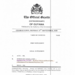 Motor Vehicle and Road Traffic (Amendment of First Schedule) Regulation 2020 (No. 3) – Subsidiary Legislation