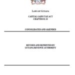 Capital Gains Tax (2022)
