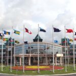 List of commodities ineligible for conditional duty exemptions