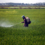 Processing of tax exemptions for fertilisers, pesticides in ASYCUDA